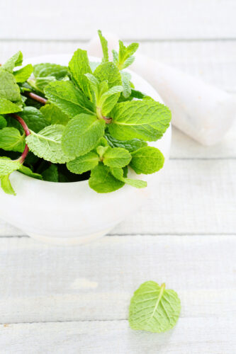 Natural Mosquito Repellents: Get Rid of Pesky Insects with Plants